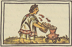 Ацтекская женщина дует на кукурузу, прежде чем положить её в котёл, чтобы та не боялась огня. Флорентийский кодекс, конец XVI века.