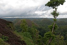 Bohol Hills, Tree, Philippines.jpg