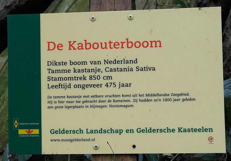 File:Bordje-kabouterboom.jpg