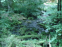 Die Quellen des Brühlbaches