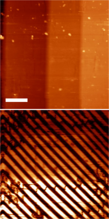 PFM of BaTiO3 single crystal showing simultaneously acquired topography (top) and domain structure (bottom). The scale bar is 10 mm Bulk BTO PFM scan.png
