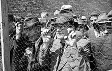 Jews arrested in Belgrade in 1941. Bundesarchiv Bild 101I-185-0112-28, Belgrad, Erfassung von Juden.jpg