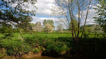 Burgstall Enzheim 02 Nidderinsel