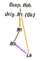 C+B-Gospels-DiagramA-2SourceHilgenfeldSolution.PNG