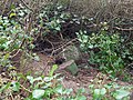 wikimedia_commons=File:CHP and BB56 Boundary Stone, Combe Valley.jpg