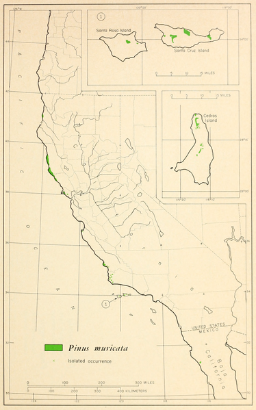 File:CL-59 Pinus muricata range map.png