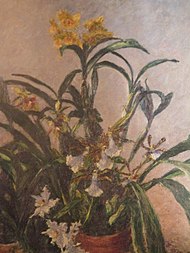 Caillebotte Orchidées jaunes 1893.jpg