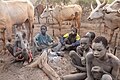 * Nomeação Cattle camp of the Mundari tribe, Terekeka, South Sudan --Poco a poco 06:46, 17 May 2024 (UTC) * Rejeição Most of the photo is disturbingly out of focus except the guy on the far right, not a QI for me, sorry. --Красный 07:02, 24 May 2024 (UTC)