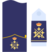 Captain general of the Air Force 2a.png
