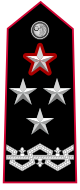 Carabinieri-OF-9a.svg