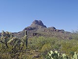 West Saguaro National Park around Sombrero Mountain near Tucson, Arizona in November 2016.
