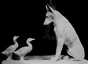 un chien , deux canard, une sculpture de Cecil Howard