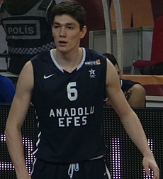 Cedi Osman: İlk yılları, Profesyonel kariyeri, Millî takım kariyeri