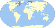 Répartition géographique du guillemot à miroir Aire de nidificationPrésent à l'annéeAire d'hivernage