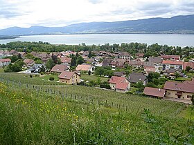 Cheyres en el lago Neuchâtel