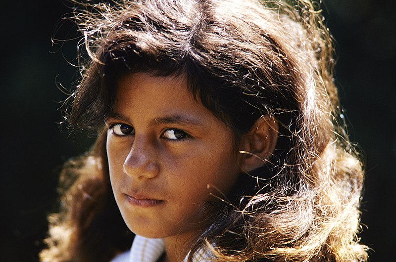 File:Close-up of Halpakala girl in Haleakala National Park. (8775c55b7cf04bf9ac27620c6ec37cef).jpg