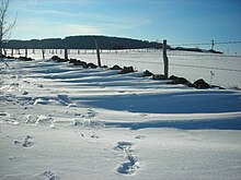 Amas de neige formant des vagues.