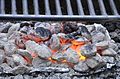 Cooking with charcoal outside a cabin Douthat State Park (28553732996).jpg