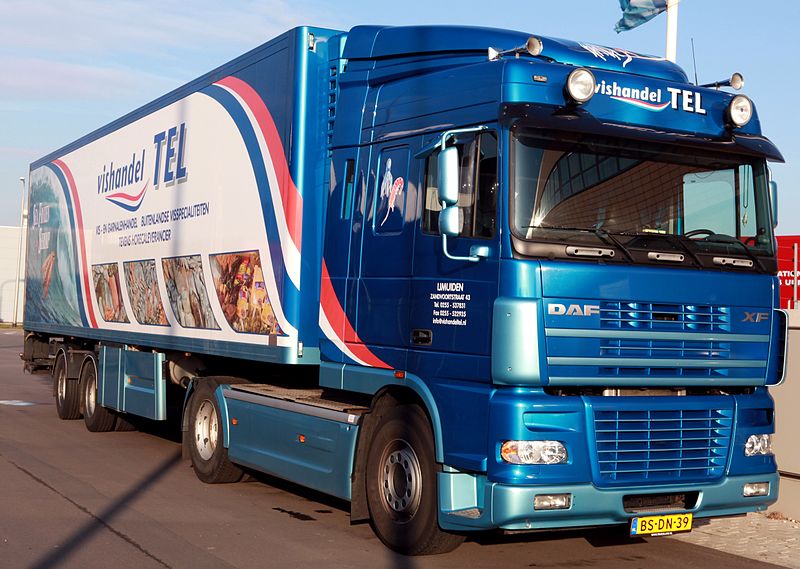 File:Daf XF Vishandel Tel IJmuiden (1).jpg