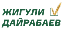 Dairabaev2022 logo.svg