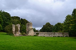 <span class="mw-page-title-main">Dalden Tower</span> Castle in England