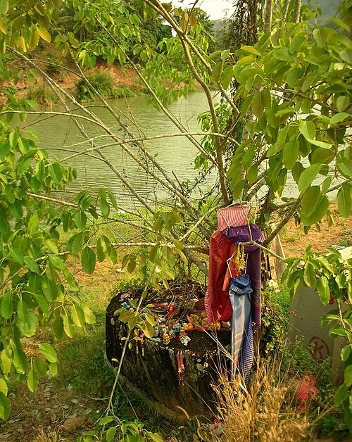 Stump of a Hopea odorata tree (ตะเคียน) with offerings near the Nang Ta-khian shrine close to the lake at Dan Sing Khon.