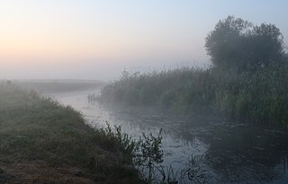 Desna river Vinn meadow 2019 G01.jpg
