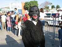Disfraz de oso-Carnaval de Barranquilla.jpg