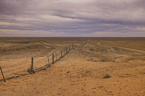 Dog Fence near Coober Pedy