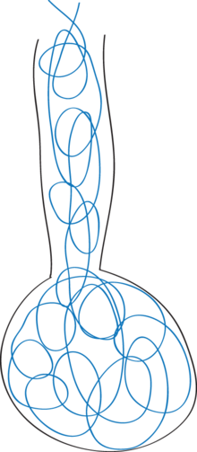 Drawing of air movement during high frequency oscillation ventilation Drawing of air movement during high frequency oscillation ventilation.png