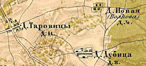 План деревни Дубицы. 1885 год.