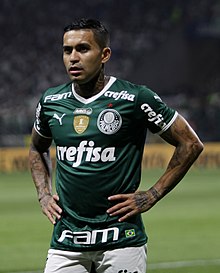 Palmeiras tem sete jogadores na seleção do Brasileirão do ge; veja o time  ideal, brasileirão série a