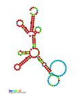 Thumbnail for Epstein–Barr virus–encoded small RNAs