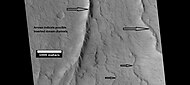 Possible inverted stream channels, Amazonis quadrangle, as seen by HiRISE under HiWish program. The ridges were probably once stream valleys that have become full of sediment and cemented. So, they became hardened against erosion which removed surrounding material. Illumination is from the left (west).
