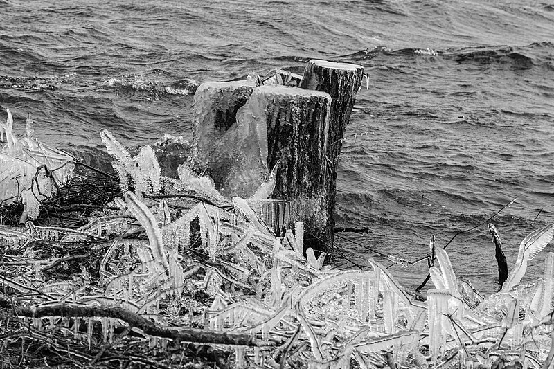 File:Een ijzige wind waait over de Put van Nederhorst (d.j.b).jpg