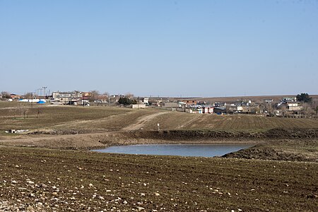 Alibardak, Sur