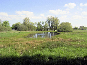 View over the Emsauen