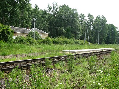 Платформа и заброшенное здание вокзала на станции Есиповская