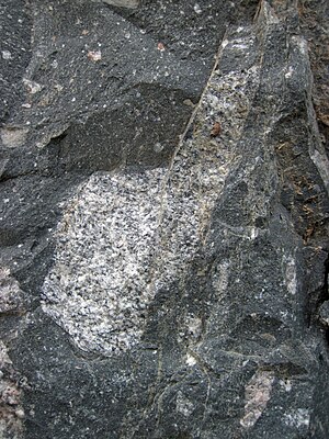 Faulted clast in tillite (Coleman Member, Gowganda Formation, Paleoproterozoic, ~2.3 Ga; Straight Lake West roadcut, north of Temagami, Ontario, Canada) 3 (47026270824).jpg