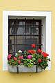 English: Barred window with pelargonium x hortorum at the former courthouse Deutsch: Vergittertes Fenster mit Pelargonien am ehemaligen Gerichtshaus