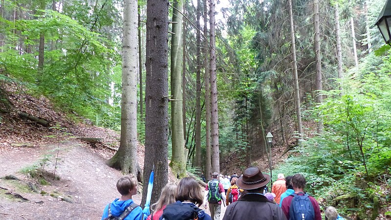 File:Felsenbühne Rathen 11.JPG