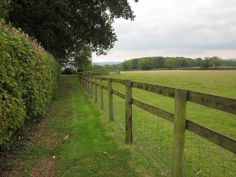 File:Fence, Stowell Hill - geograph.org.uk - 3669542.jpg