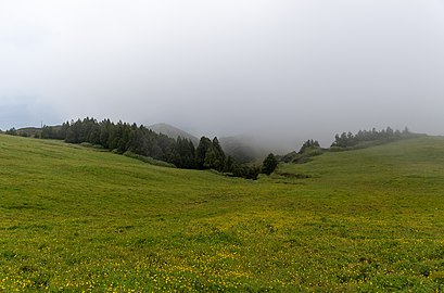 Fields in a foggy day near Barrosa Viewpoint, São Miguel Island, Azores, Portugal