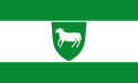 Schöppingen - Drapeau