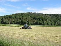 Ford tractor, Sweden.jpg