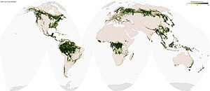 Forèst: Evolucion e istòria recenta, Estructura  duna seuva, Ecosistèmas forestiers e ròtle ecologic dei seuvas