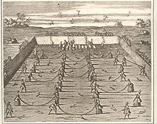 Un tournoi de lancer de renard au début du XVIIIe siècle, illustration de Der deutsche vollkommene Jäger (1719).