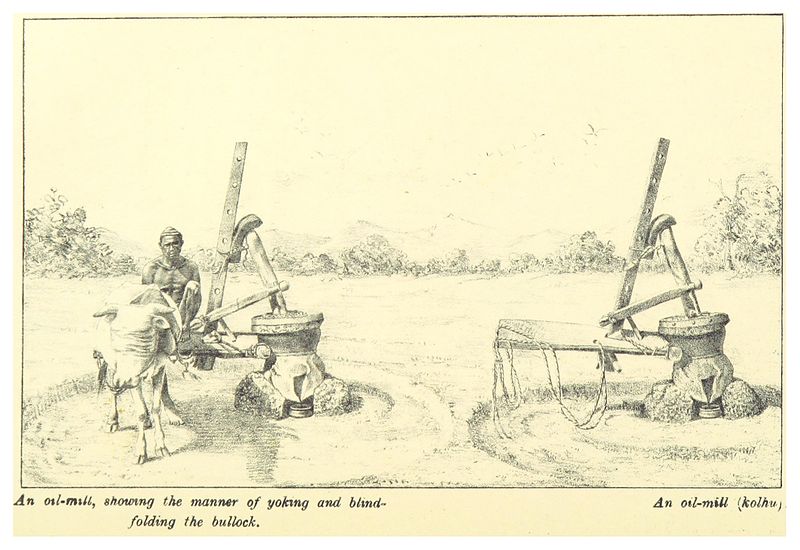 File:GRIERSON(1885) p122 AN OIL-MILL AT WORK.jpg