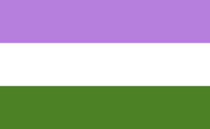 A flag representing the genderqueer community with 3 stripes of color. The colors from top to bottom are purple, white, and green.