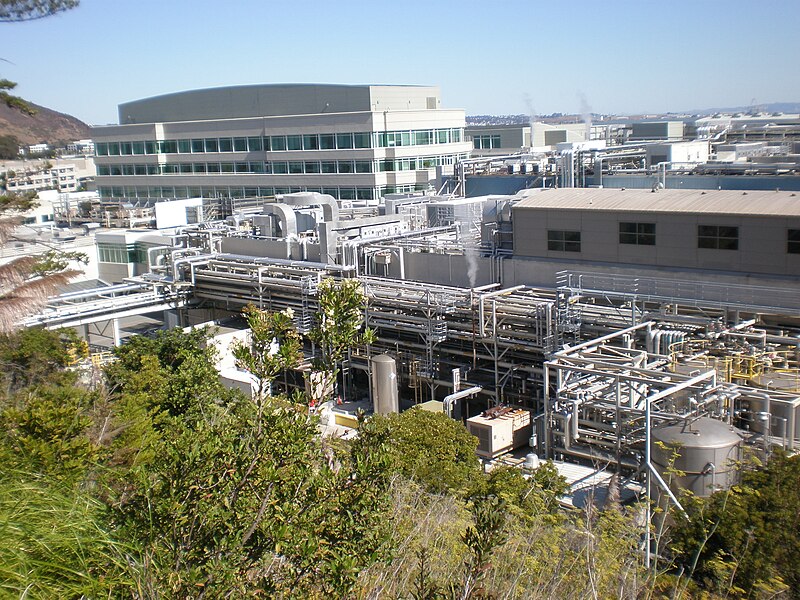 File:Genentech HQ buildings 9, 8, 6.JPG